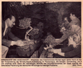 Südkurierartikel vom 30. Mai 1984 zur Ausstellung im Palmenhaus