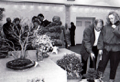 Ausstellung in der Schlossgartenhalle, Insel Mainau 1989. Bild Ulla Ruck, Konstanz
