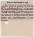 Artikel zum Bonsaikreis 1984.