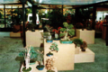 Ausstellung in den Arkaden der Schwedenenke der Insel Mainau, 1994