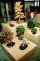 Ausstellung in den Arkaden der Schwedenenke der Insel Mainau, 1994