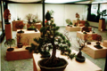 Ausstellung in den Arkaden der Schwedenenke der Insel Mainau, 1994